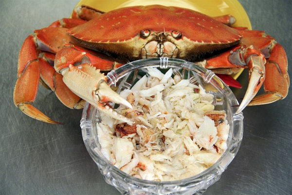 Fresh cooked Dungeness crab with hand picked crab meat